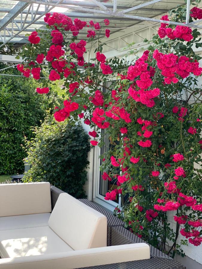 Villa Starnberger See เพิคคิง ภายนอก รูปภาพ