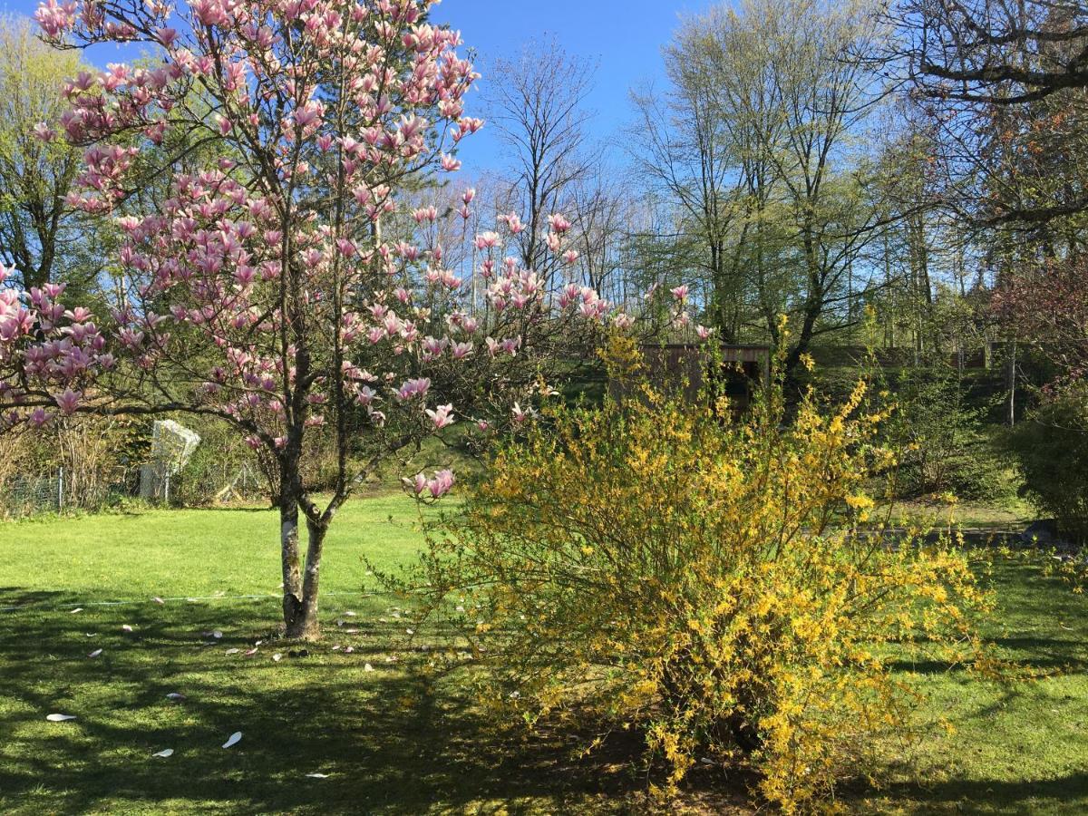 Villa Starnberger See เพิคคิง ภายนอก รูปภาพ